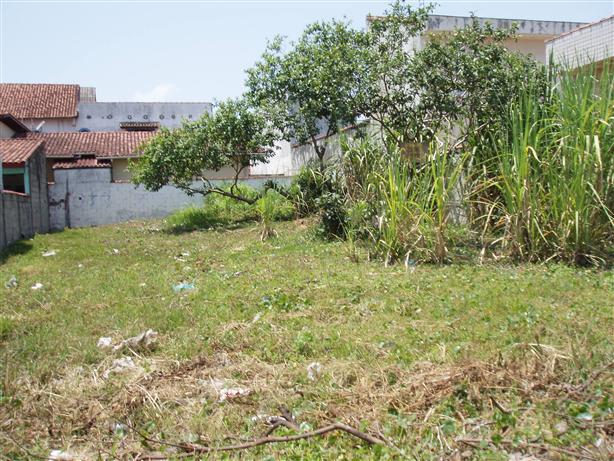 terreno em Ribamar